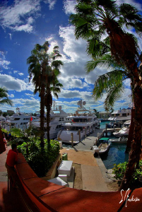 This image was tken with the sun straight up over Paradis... by Steven Anderson 